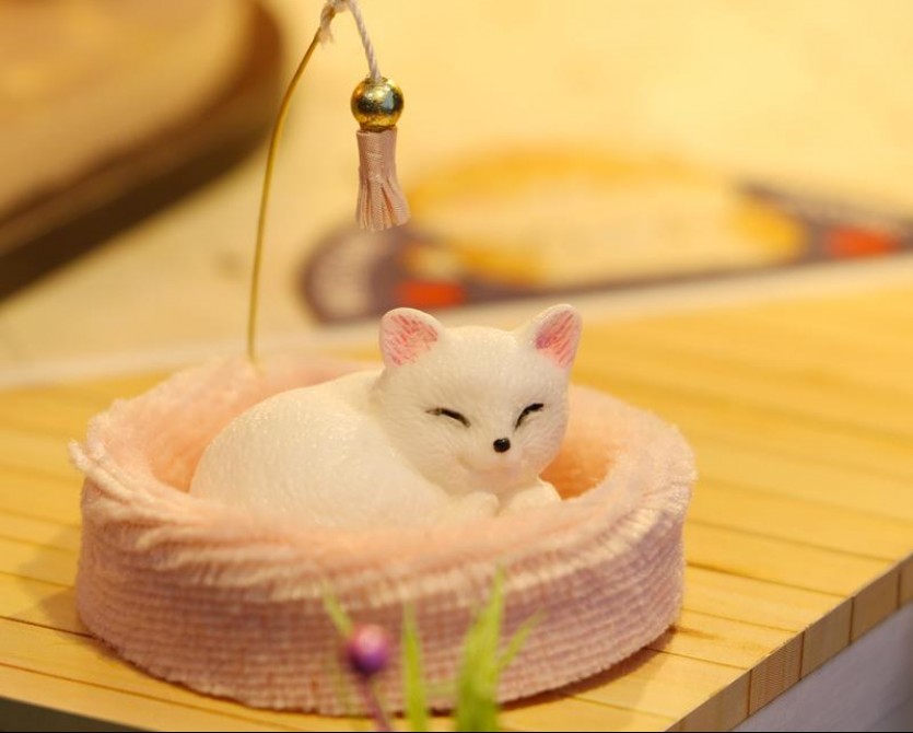 M2111 猫咖后花园